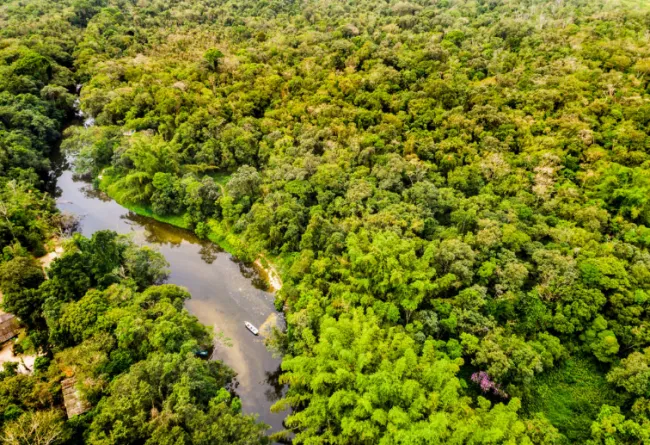 Amazonas