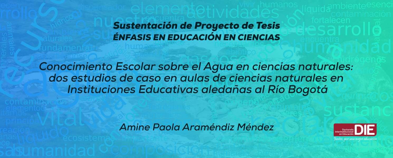 Sustentación pública del Proyecto de Tesis de Amine Paola Araméndiz Méndez