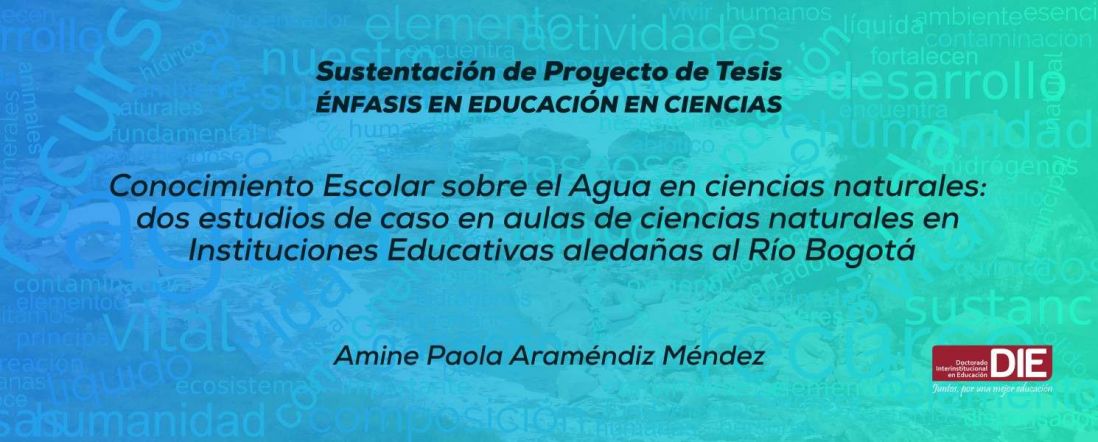 Sustentación pública del Proyecto de Tesis de Amine Paola Araméndiz Méndez